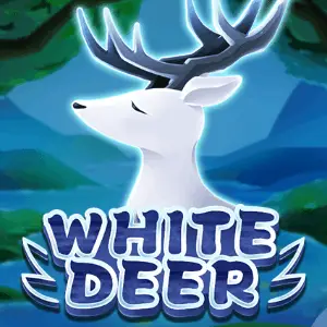 KA-WhiteDeer